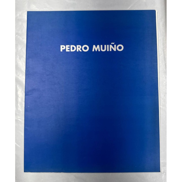 PEDRO MUIÑO. EXPOSICIÓN DEL 28 DE MAYO AL 28 DE JUNIO 1997.