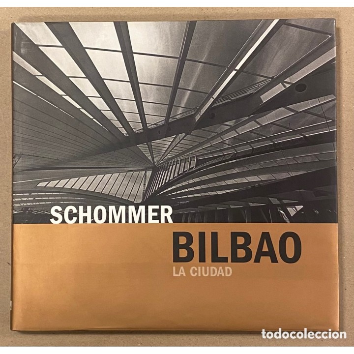 Bilbao: la ciudad.