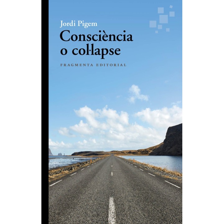 CONSCIENCIA O COLLAPSE