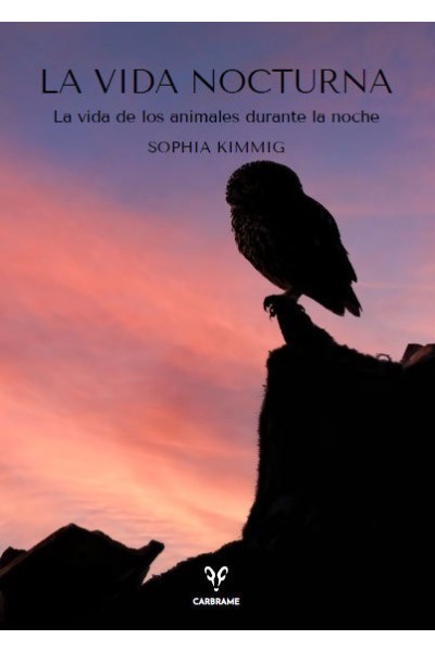 VIDA NOCTURNA,LA