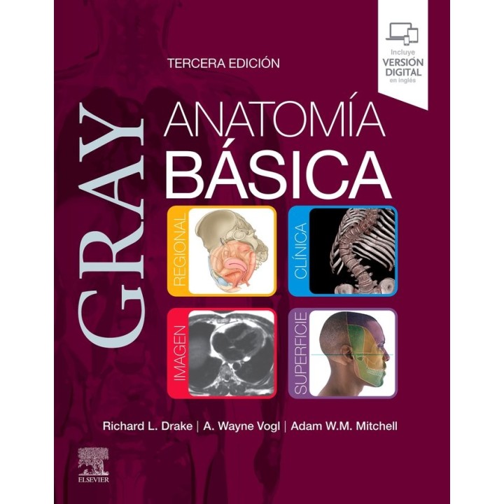 GRAY ANATOMIA BASICA