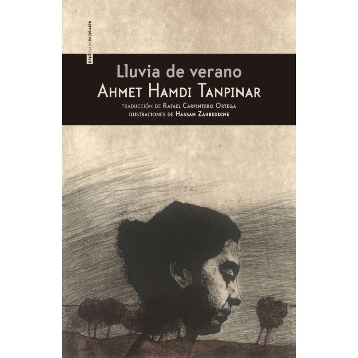 LLUVIA DE VERANO