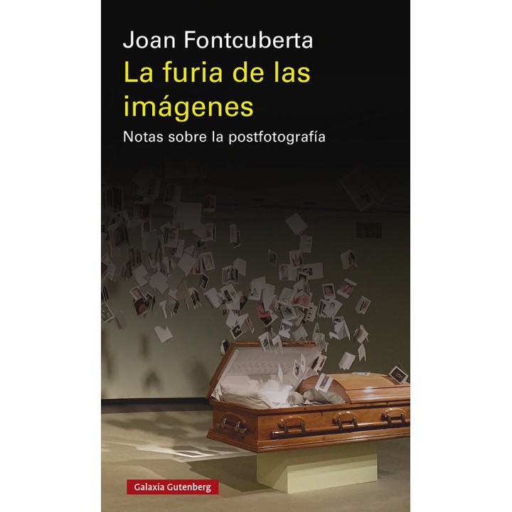 FURIA DE LAS IMAGENES,LA