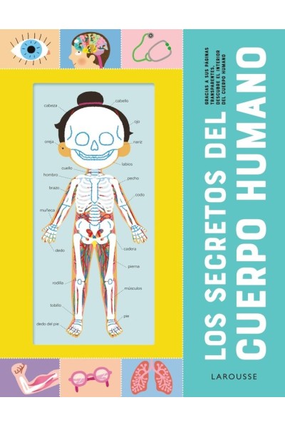 LOS SECRETOS DEL CUERPO HUMANO