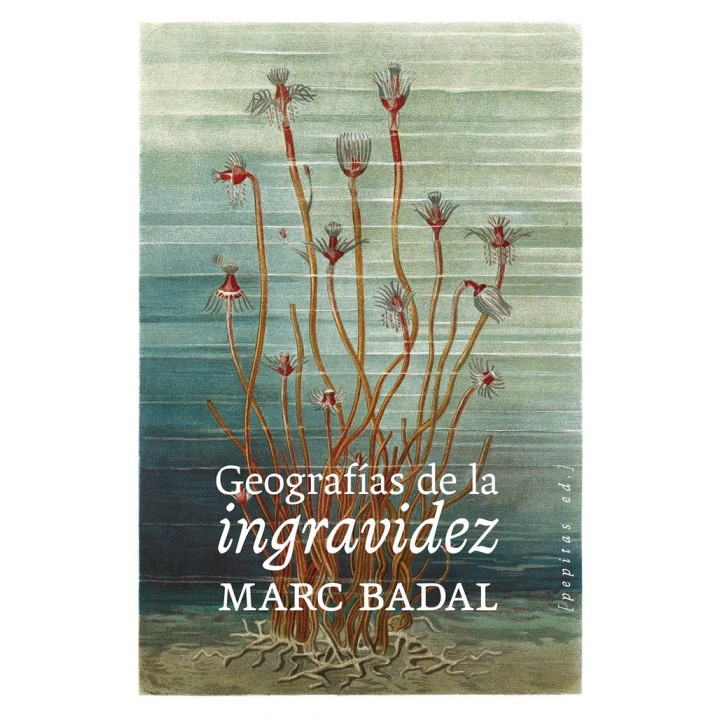 GEOGRAFIAS DE LA INGRAVIDEZ