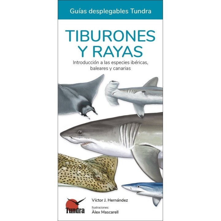 TIBURONES Y RAYAS GUIAS DEPLEGABLES