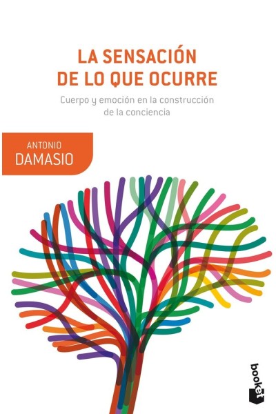 SENSACION DE LO QUE OCURRE,LA
