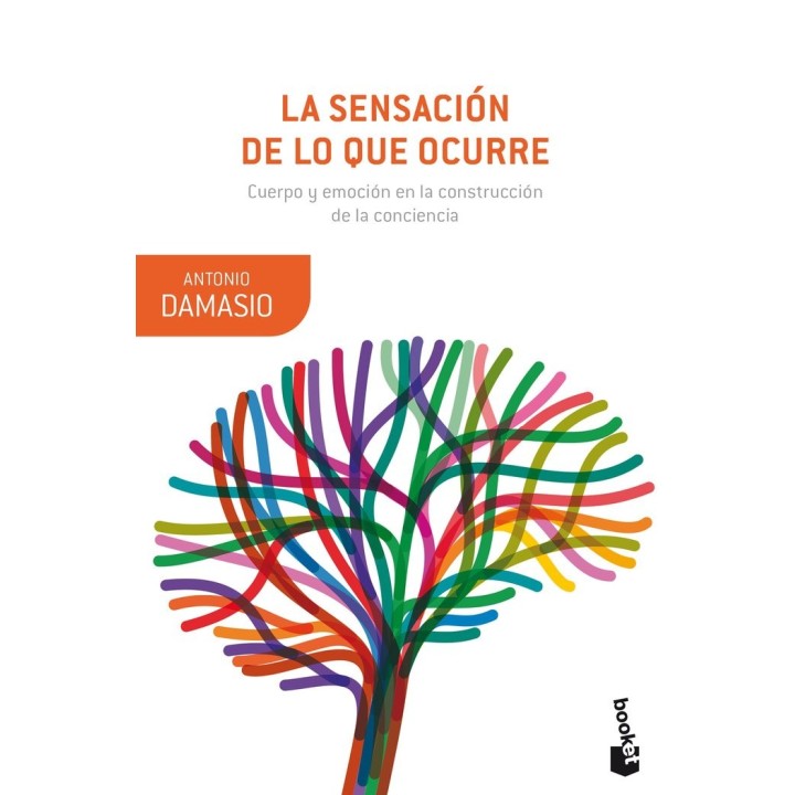 SENSACION DE LO QUE OCURRE,LA
