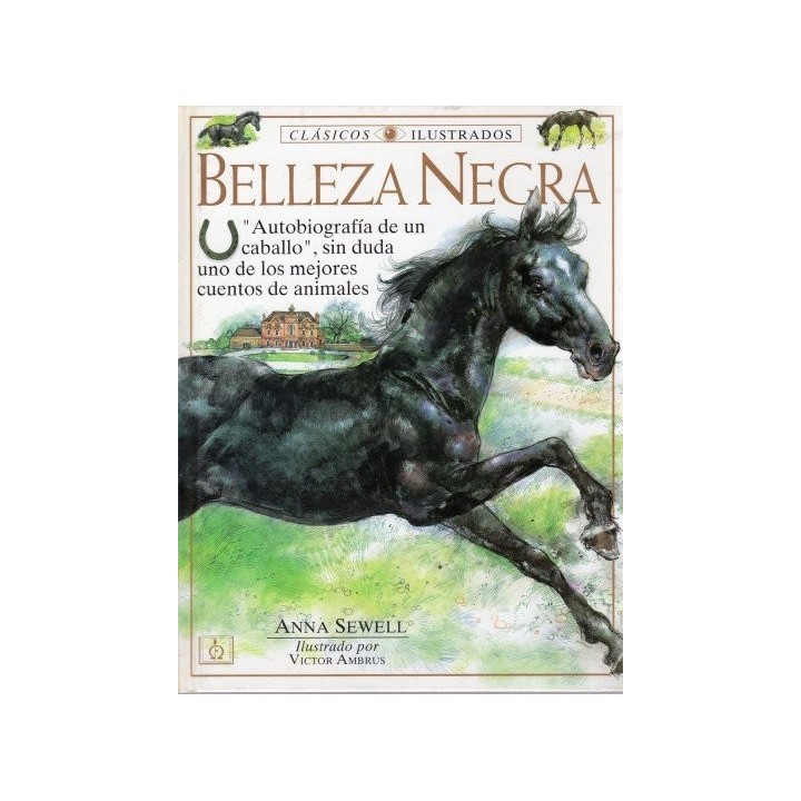 BELLEZA NEGRA CI