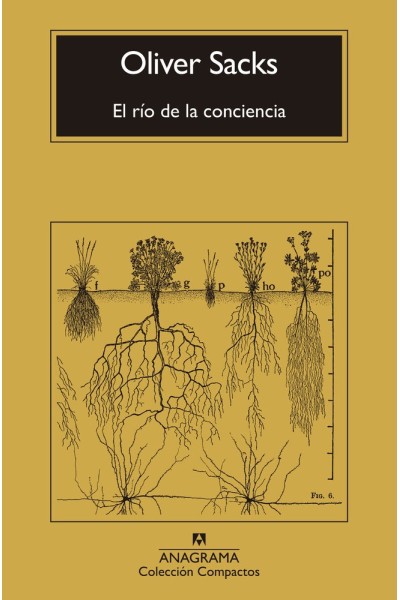 EL RIO DE LA CONCIENCIA