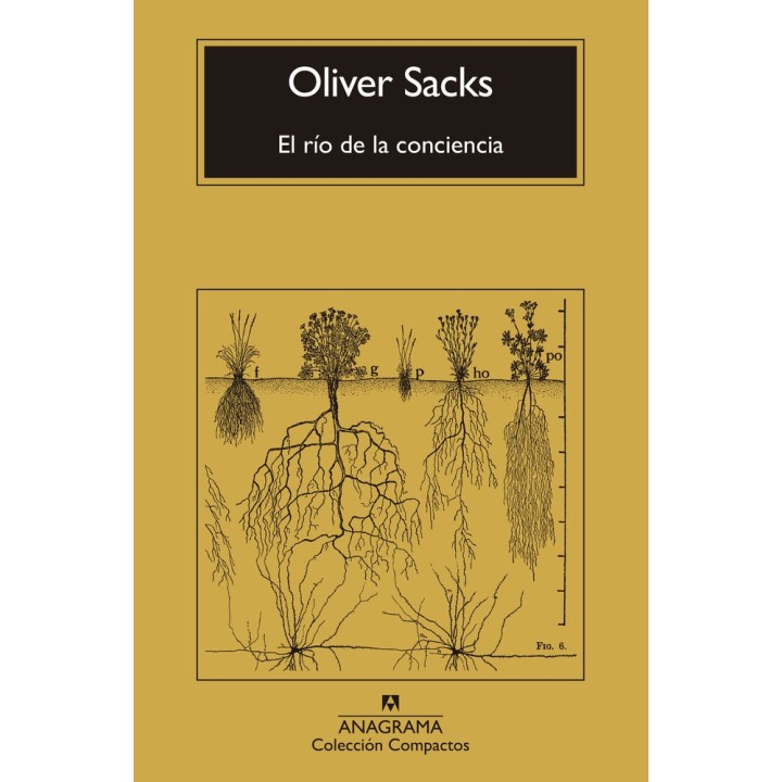 EL RIO DE LA CONCIENCIA