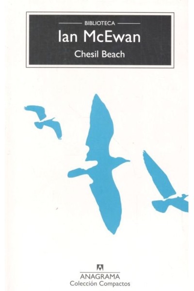 CHESIL BEACH