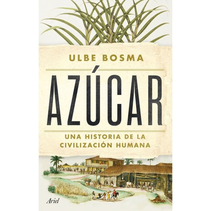 AZUCAR