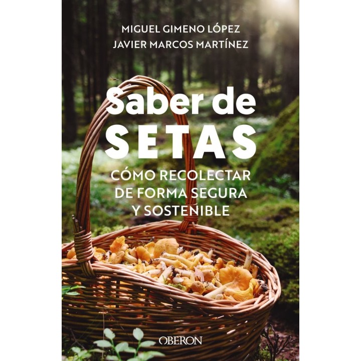 SABER DE SETAS