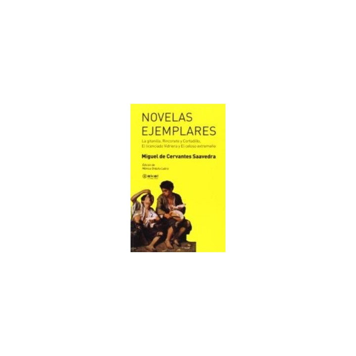 NOVELAS EJEMPLARES