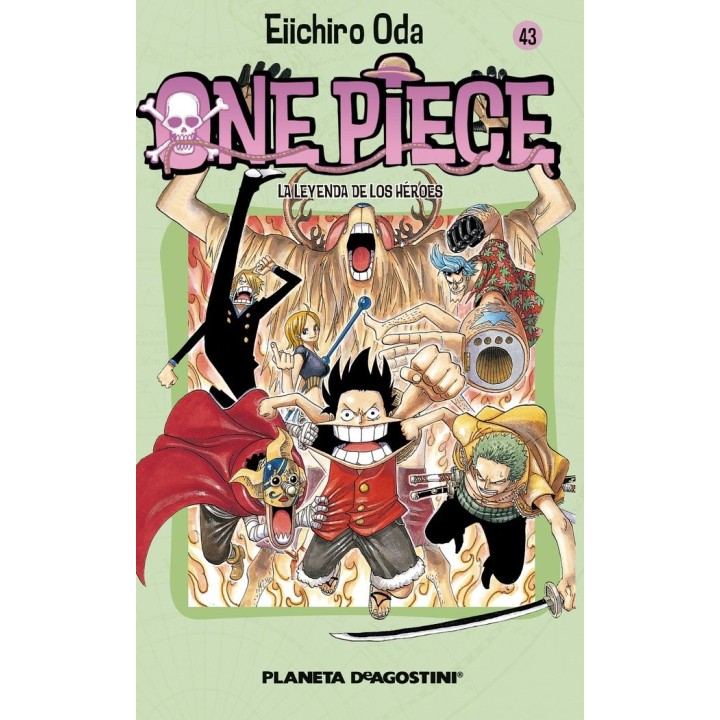 ONE PIECE 43