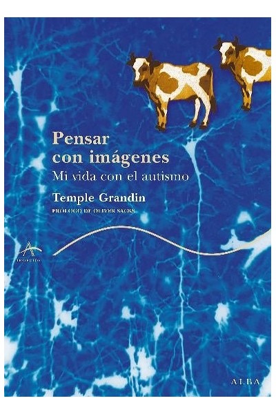 PENSAR CON IMAGENES