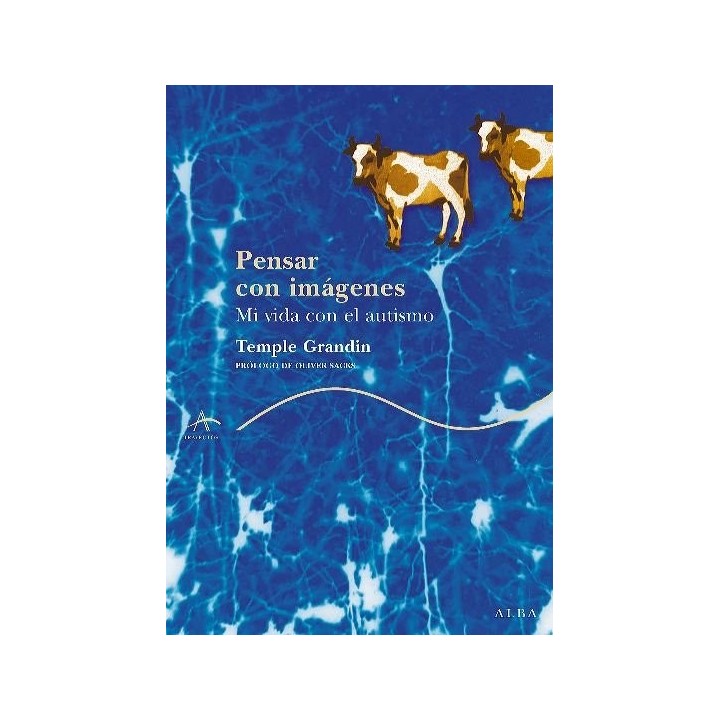 PENSAR CON IMAGENES