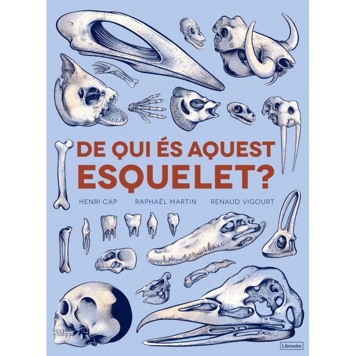 DE QUI ES AQUEST ESQUELET - CAT
