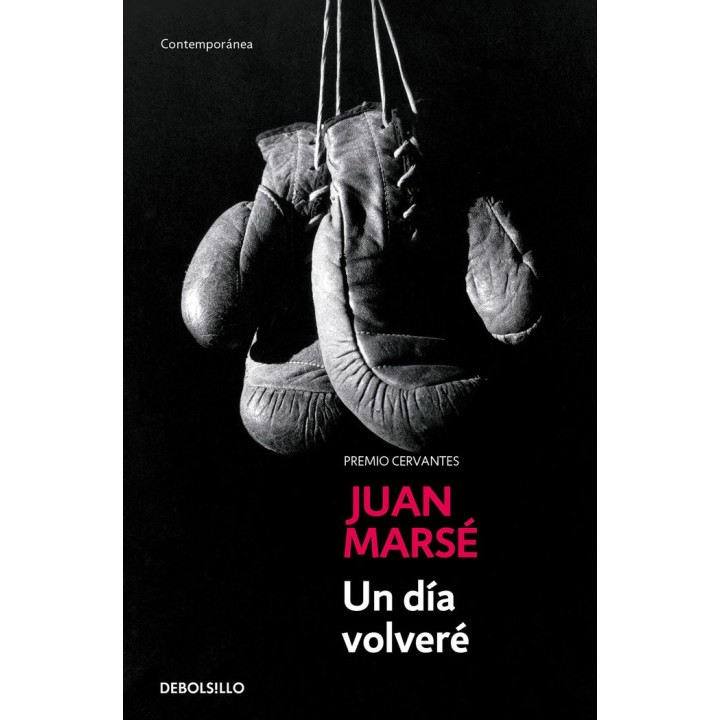 UN DIA VOLVERE DB