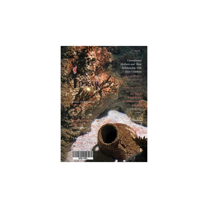 REVISTA JERAR 4