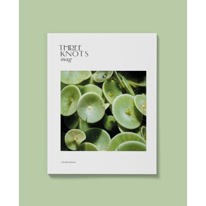 REVISTA THREE KNOTS 2