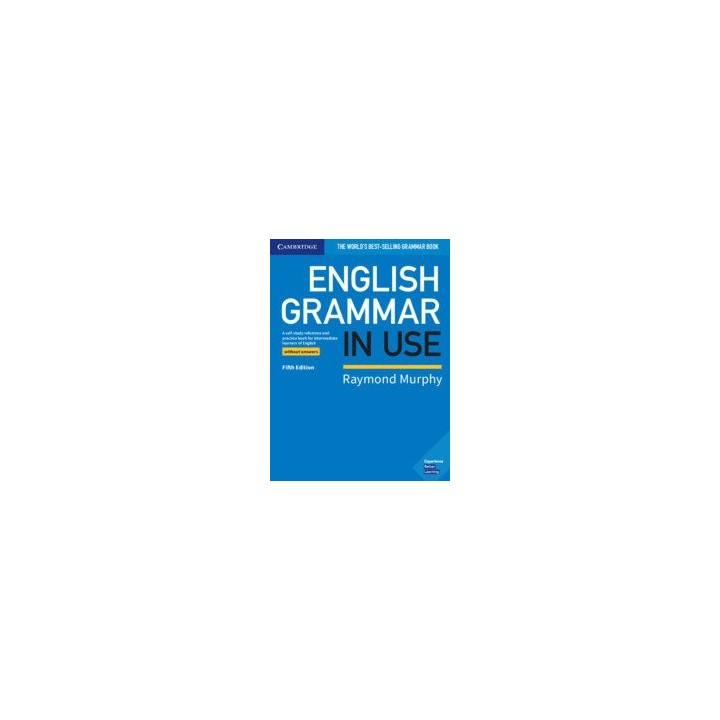 ENGLISH GRAMMAR IN USE WITHOUT ANSWERS 5TH EDITION