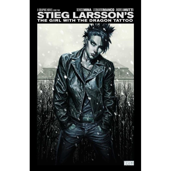 GIRL WITH THE DRAGON TATTOO GRAPHIC NOVEL BOOK 2