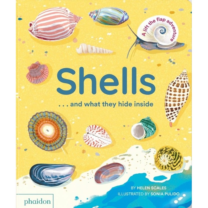 SHELLSAAND WHAT THEY HIDE INSIDE