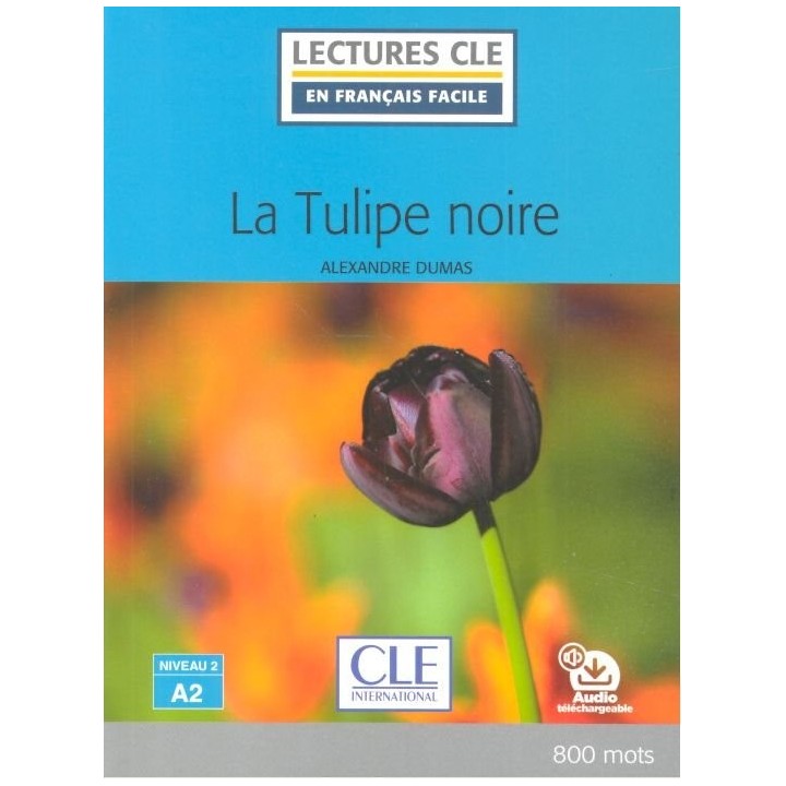 TULIPE NOIRE NIVEAU 2/A2