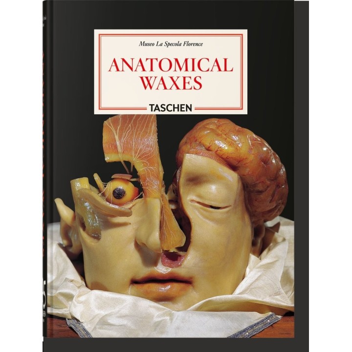ANATOMICAL WAXES 45TH ED