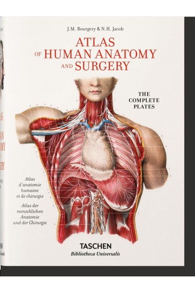 BOURGERY ATLAS OF ANATOMY (ES/IT/PO)