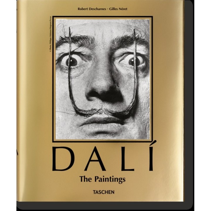 DALI LA OBRA PICTORICA