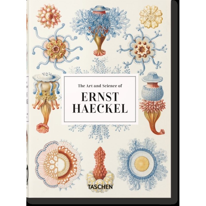 ERNST HAECKEL 40 YEARS