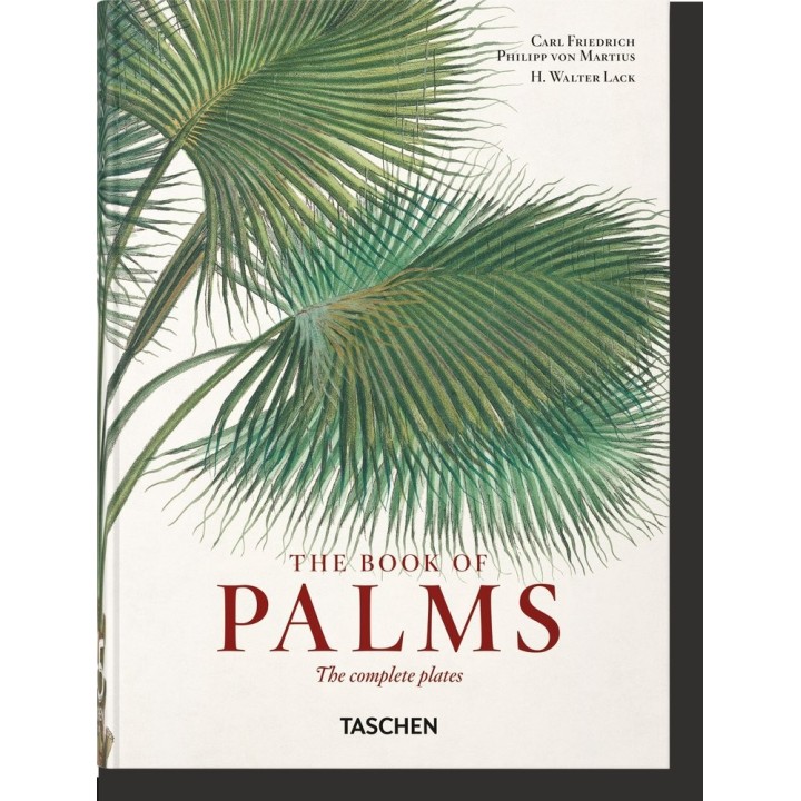 VON MARTIUS EL LIBRO DE LAS PALMERAS 40TH ED