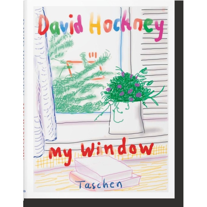 DAVID HOCKNEY MY WINDOW