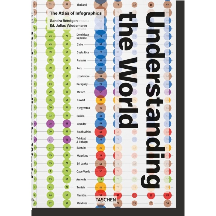UNDERSTANDING THE WORLD