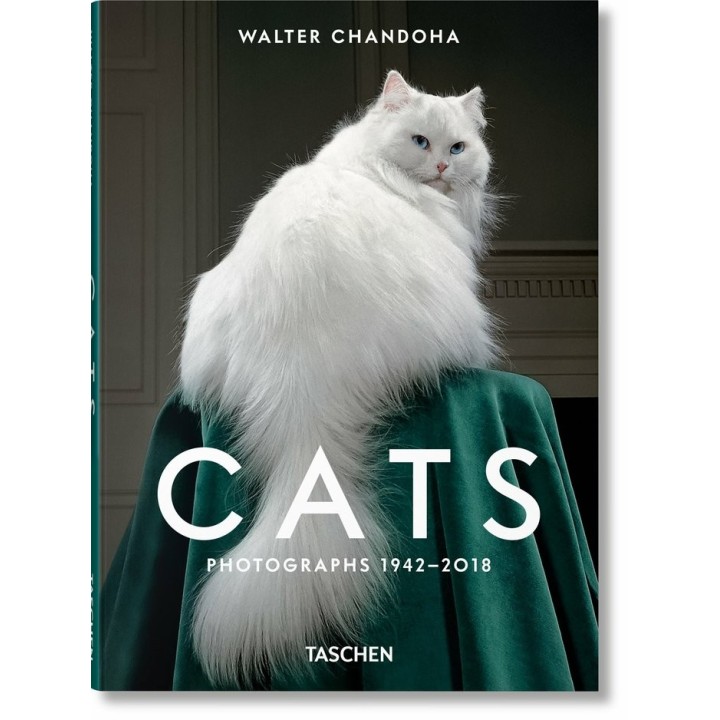 WALTER CHANDOHA CATS PHOTOGRAPHS 1942 2018