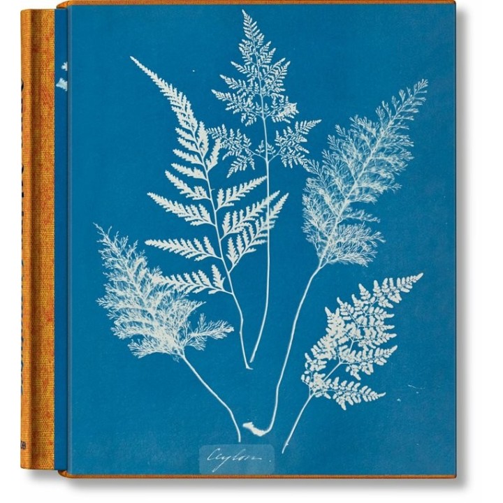 ANNA ATKINS CYANOTYPES (FFE)