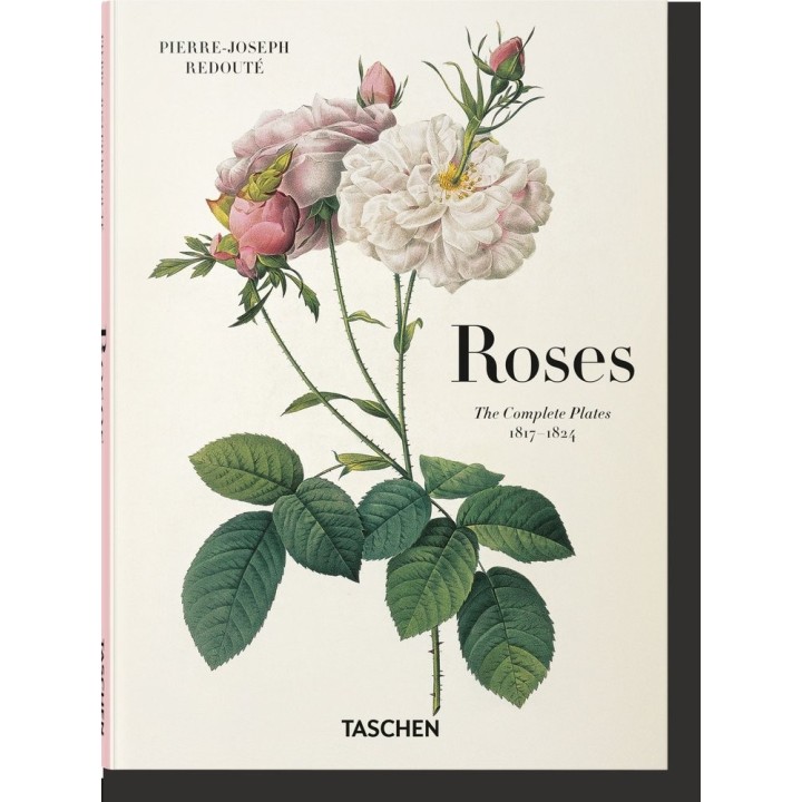 REDOUTE ROSES