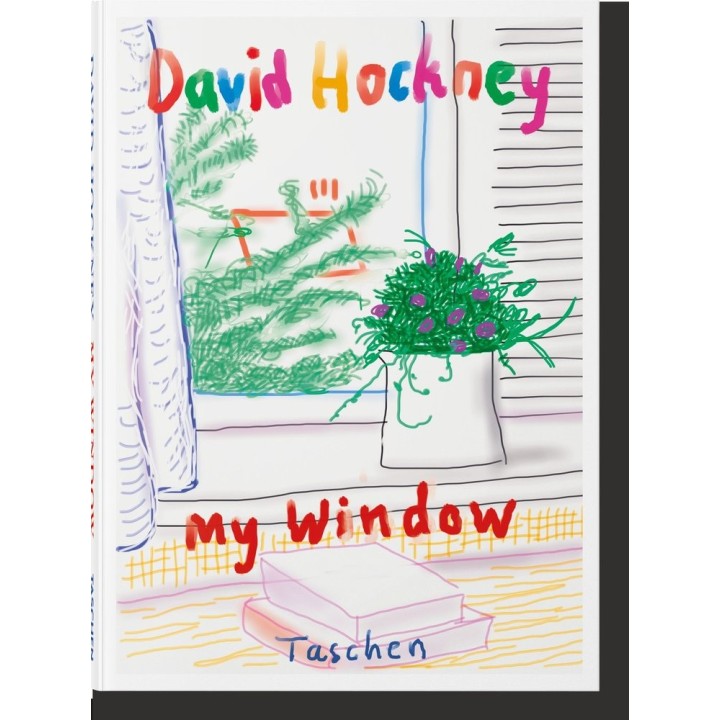 DAVID HOCKNEY MY WINDOW