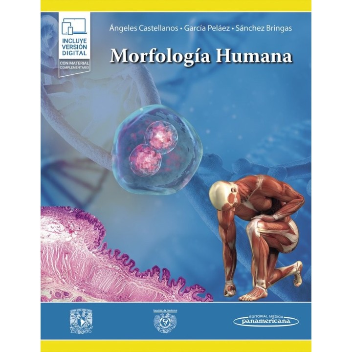 MORFOLOGIA HUMANA