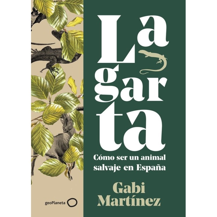 LAGARTA