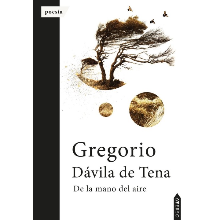 DE LA MANO DEL AIRE