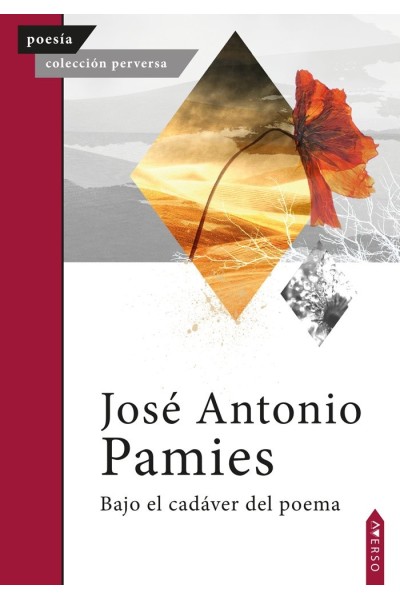 BAJO EL CADAVER DEL POEMA