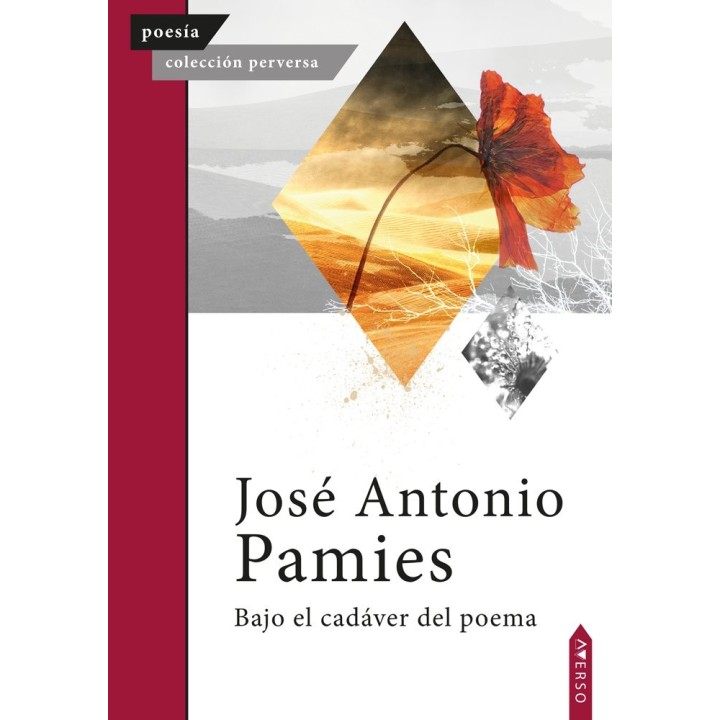BAJO EL CADAVER DEL POEMA