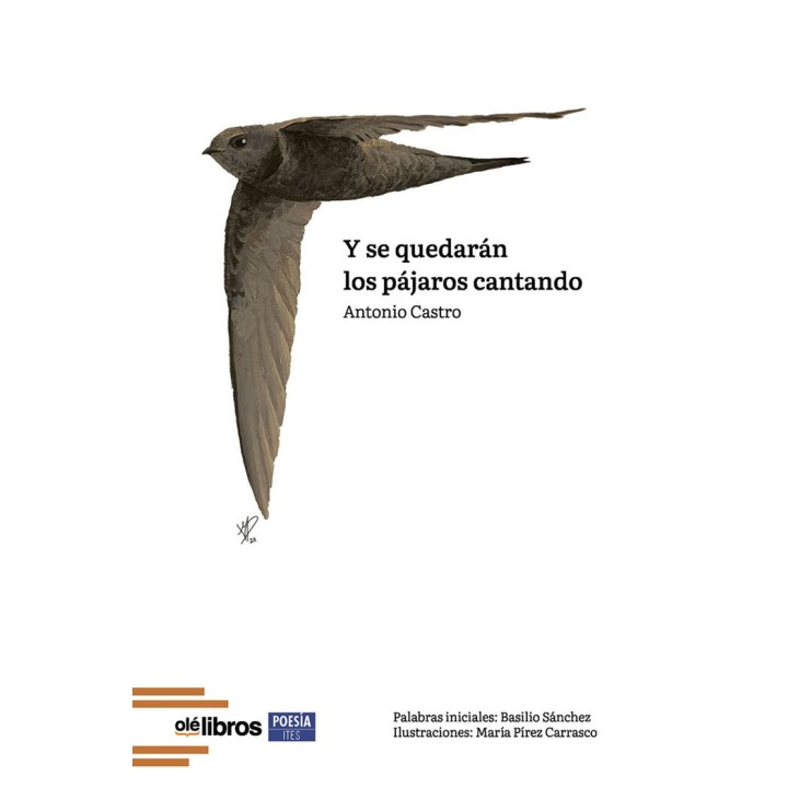 Y SE QUEDARAN LOS PAJAROS CANTANDO