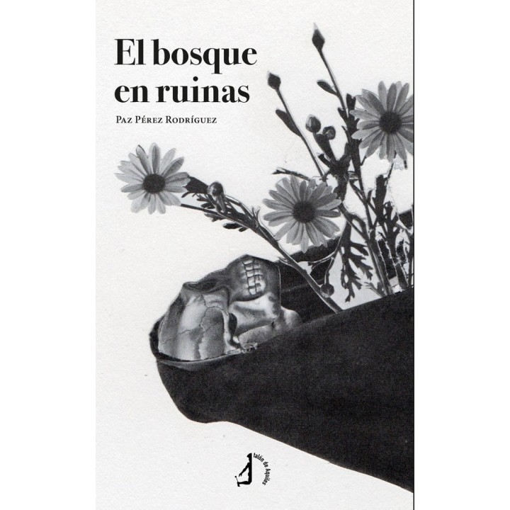 EL BOSQUE EN RUINAS