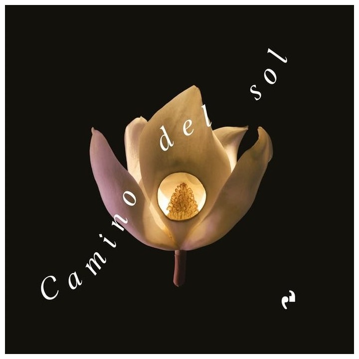 CAMINO DEL SOL