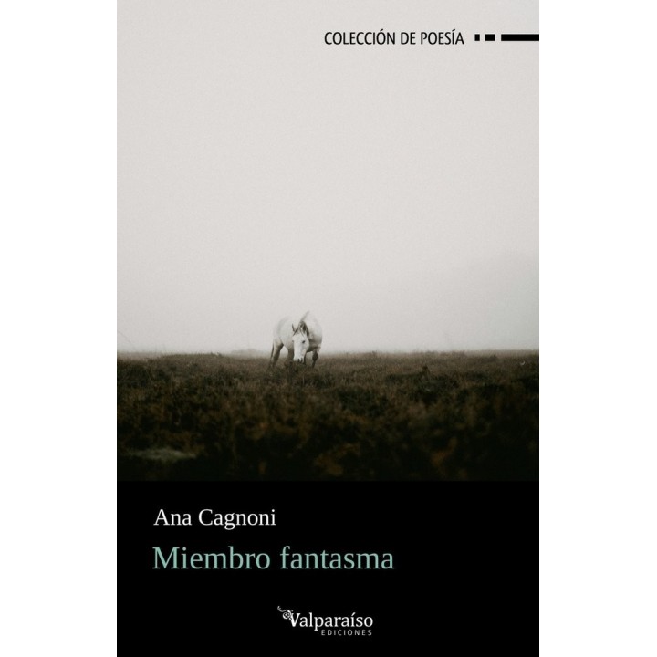 MIEMBRO FANTASMA